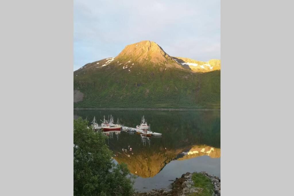 Appartamento Waterfront Senja 3 Torsken Esterno foto