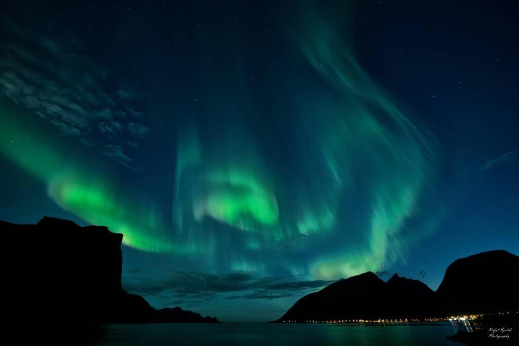 Appartamento Waterfront Senja 3 Torsken Esterno foto